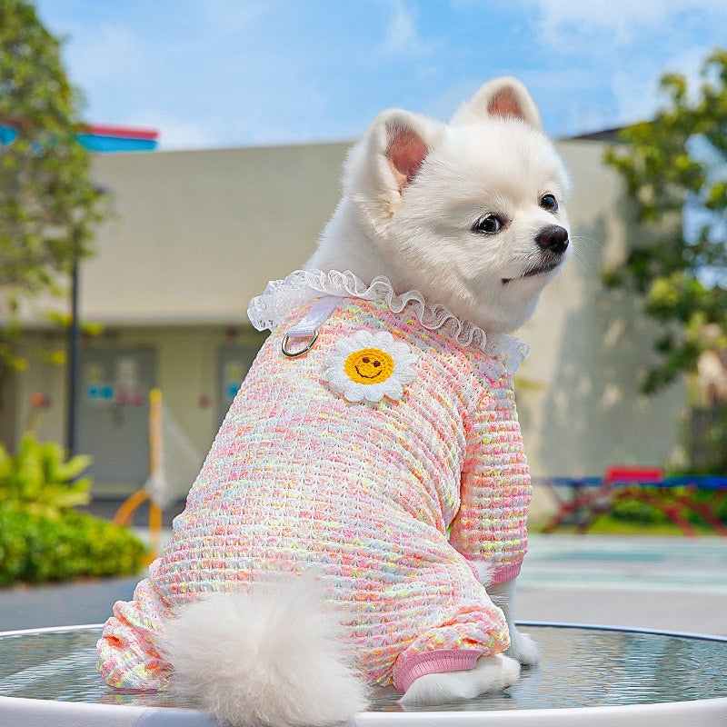 Cute Stretchy & Breathable Pet Bodysuit for Cats & Dogs - Spring-Summer Outfit for Bichon, Teddy & Munchkin Cats
