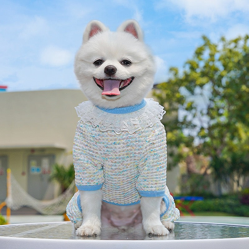 Cute Stretchy & Breathable Pet Bodysuit for Cats & Dogs - Spring-Summer Outfit for Bichon, Teddy & Munchkin Cats