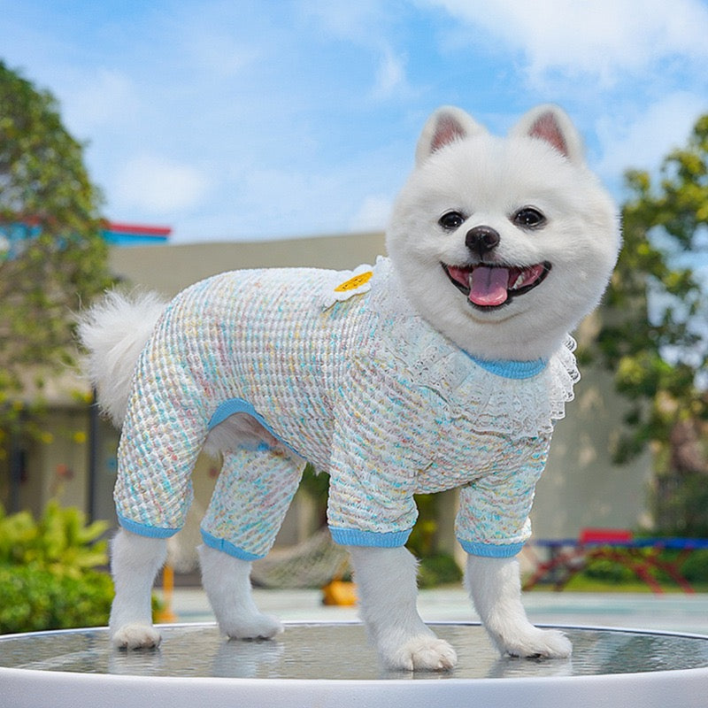Cute Stretchy & Breathable Pet Bodysuit for Cats & Dogs - Spring-Summer Outfit for Bichon, Teddy & Munchkin Cats