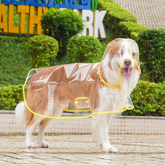 Clear Waterproof Dog Raincoat for Large Breeds - Fits Golden Retrievers & Labradors
