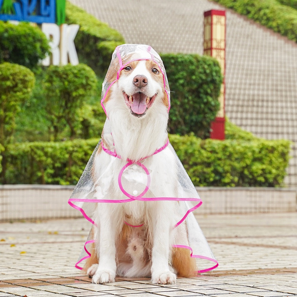 Clear Waterproof Dog Raincoat for Large Breeds - Fits Golden Retrievers & Labradors