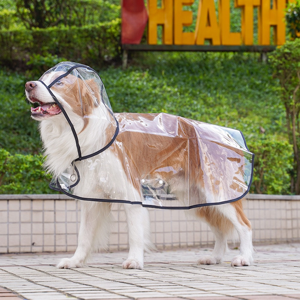 Clear Waterproof Dog Raincoat for Large Breeds - Fits Golden Retrievers & Labradors