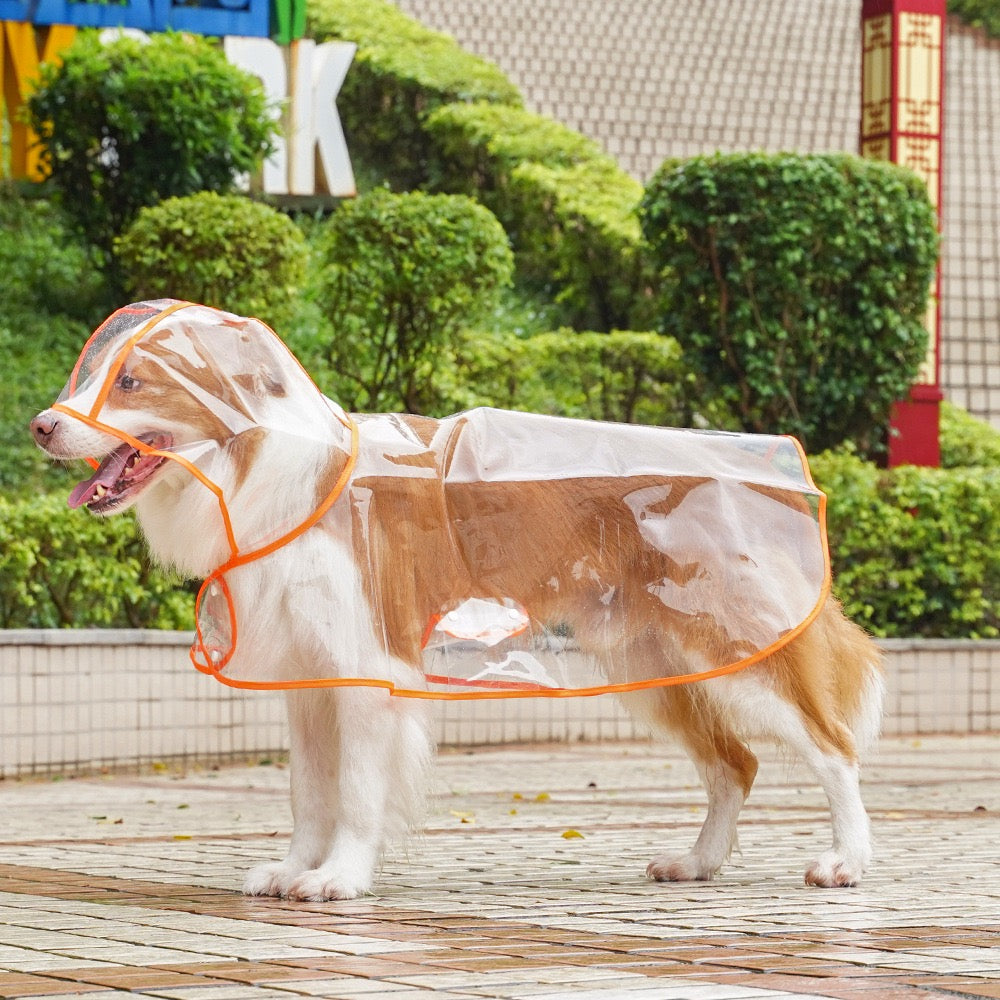 Clear Waterproof Dog Raincoat for Large Breeds - Fits Golden Retrievers & Labradors
