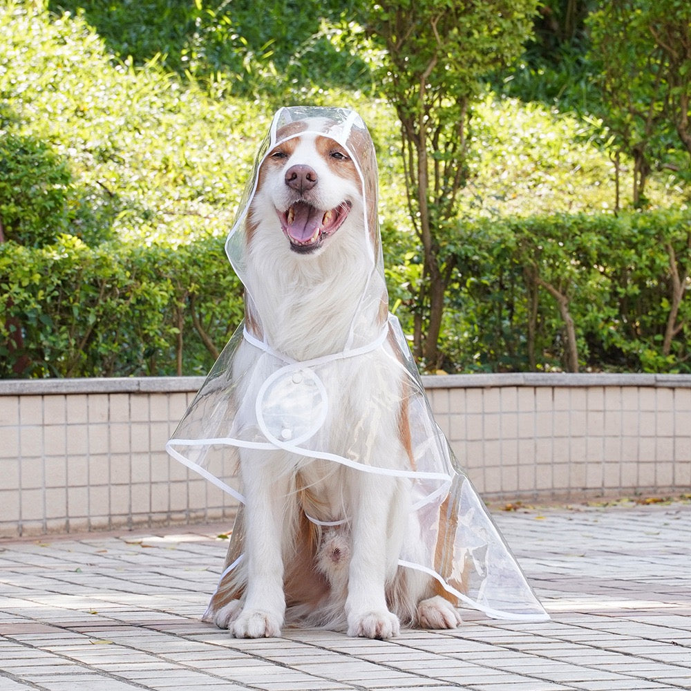 Clear Waterproof Dog Raincoat for Large Breeds - Fits Golden Retrievers & Labradors