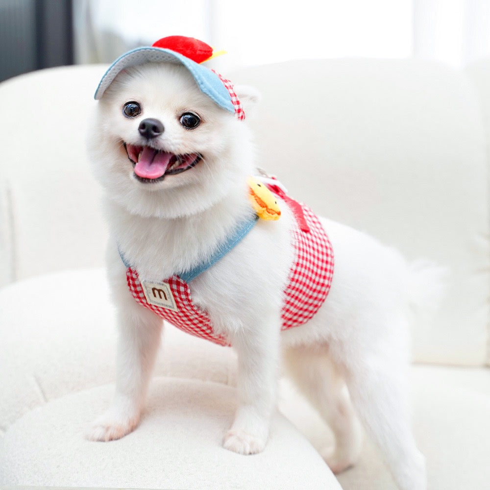 Harness & Leash Combo for Small Long-Haired Dogs - Tangle Resistant Cute