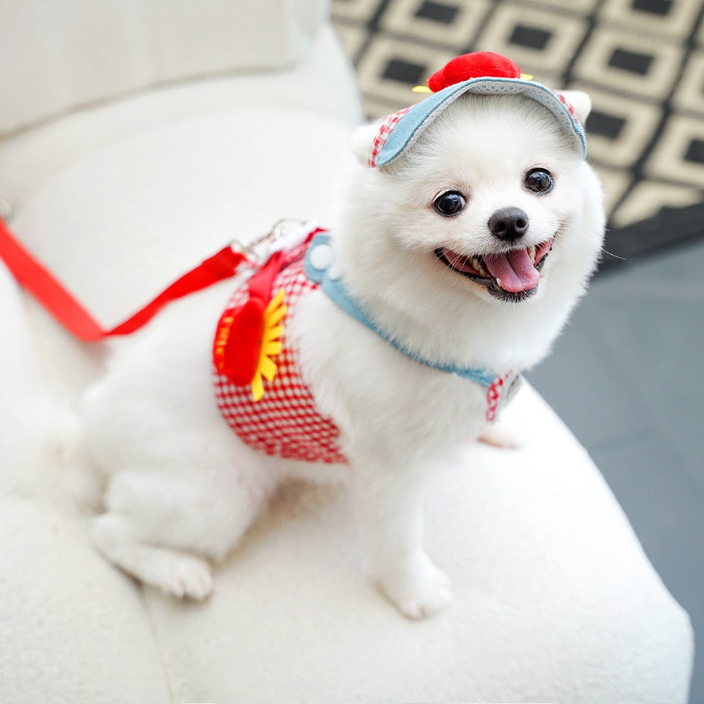 Harness & Leash Combo for Small Long-Haired Dogs - Tangle Resistant Cute