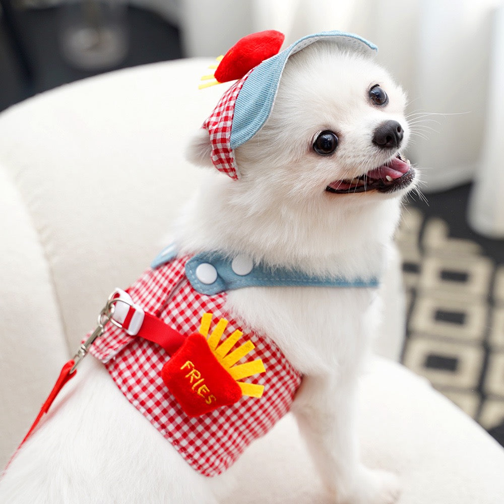 Harness & Leash Combo for Small Long-Haired Dogs - Tangle Resistant Cute